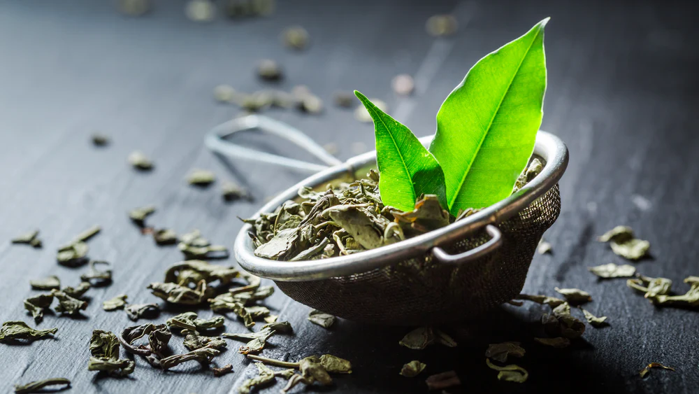 Green Tea Extract