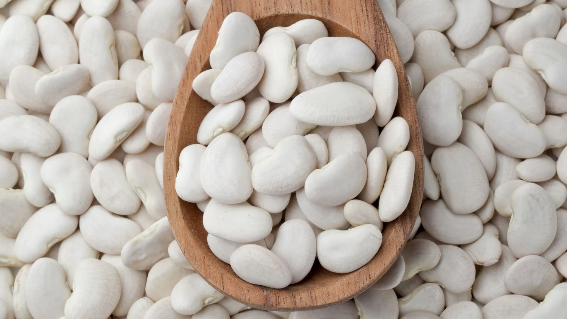White Kidney Bean Extract